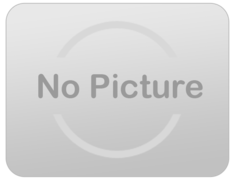 Elite Window Side Reg $129 FLASH SALE $99